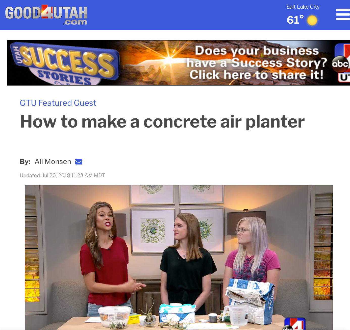 Good Things Utah: How to Make a Concrete Air Planter