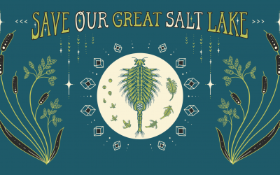 Craft Lake City Announces New Celebration of the Hand: Save Our Great Salt Lake Public Art Exhibition