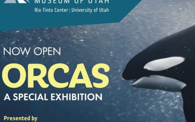 Craft Lake City & Natural History Museum of Utah Unveil New Local Voices Installation, “Orcas: Our Shared Future”