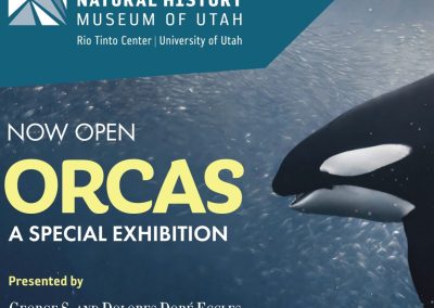 Craft Lake City & Natural History Museum of Utah Unveil New Local Voices Installation, “Orcas: Our Shared Future”